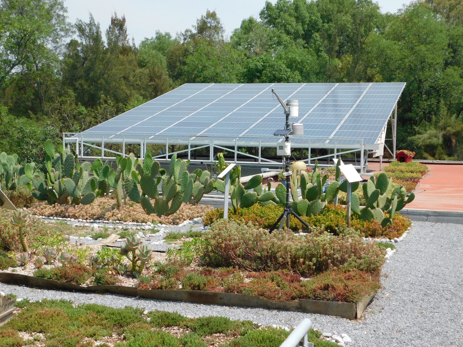 Azotea verde semi intensiva con celdas solares, CDMX