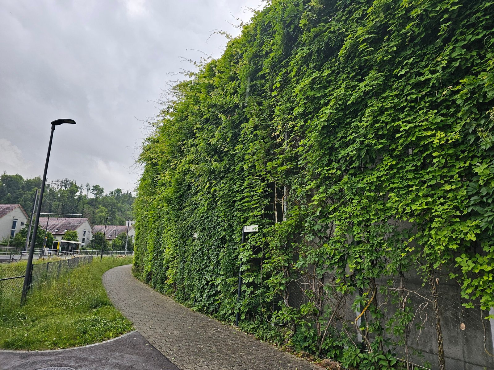 Jardín vertical tipo enredadera, referencia conocida en Suiza