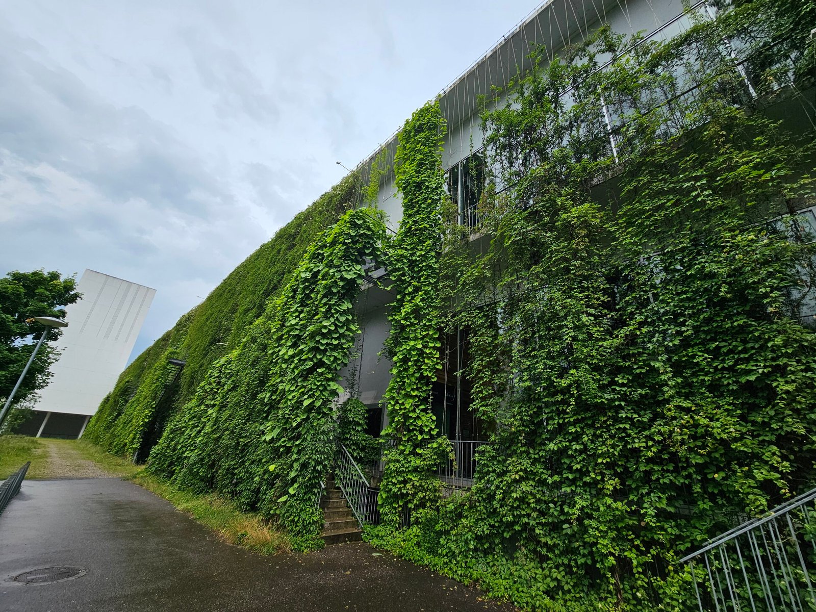 Jardín vertical tipo enredadera, referencia conocida en Suiza